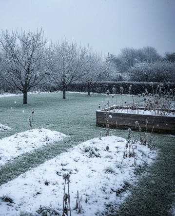 Gartenarbeit im Februar