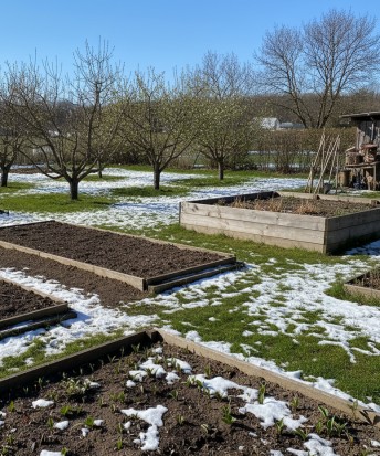 Gartenarbeit im März